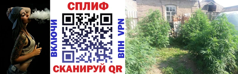 Где купить Павловский Посад Марихуана  мега   МЕФ  Cocaine 