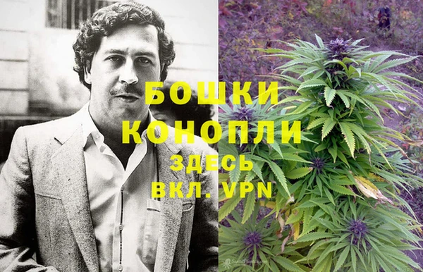 ПСИЛОЦИБИНОВЫЕ ГРИБЫ Армянск
