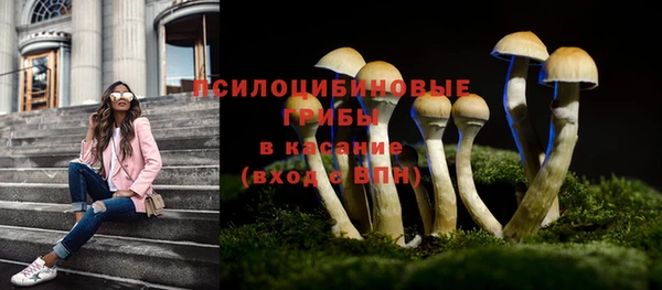герыч Аркадак